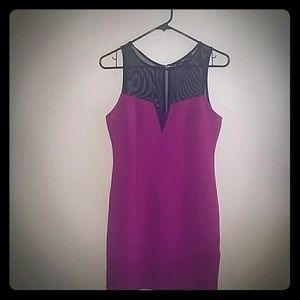 Bodycon top mesh dress